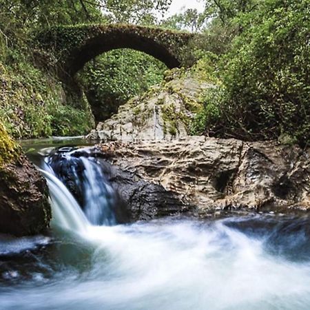 Finca Charco La Olla Jabugo Εξωτερικό φωτογραφία
