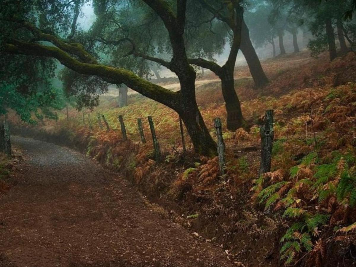 Finca Charco La Olla Jabugo Εξωτερικό φωτογραφία